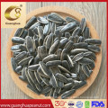 High Quality Sunflower Seeds From China
